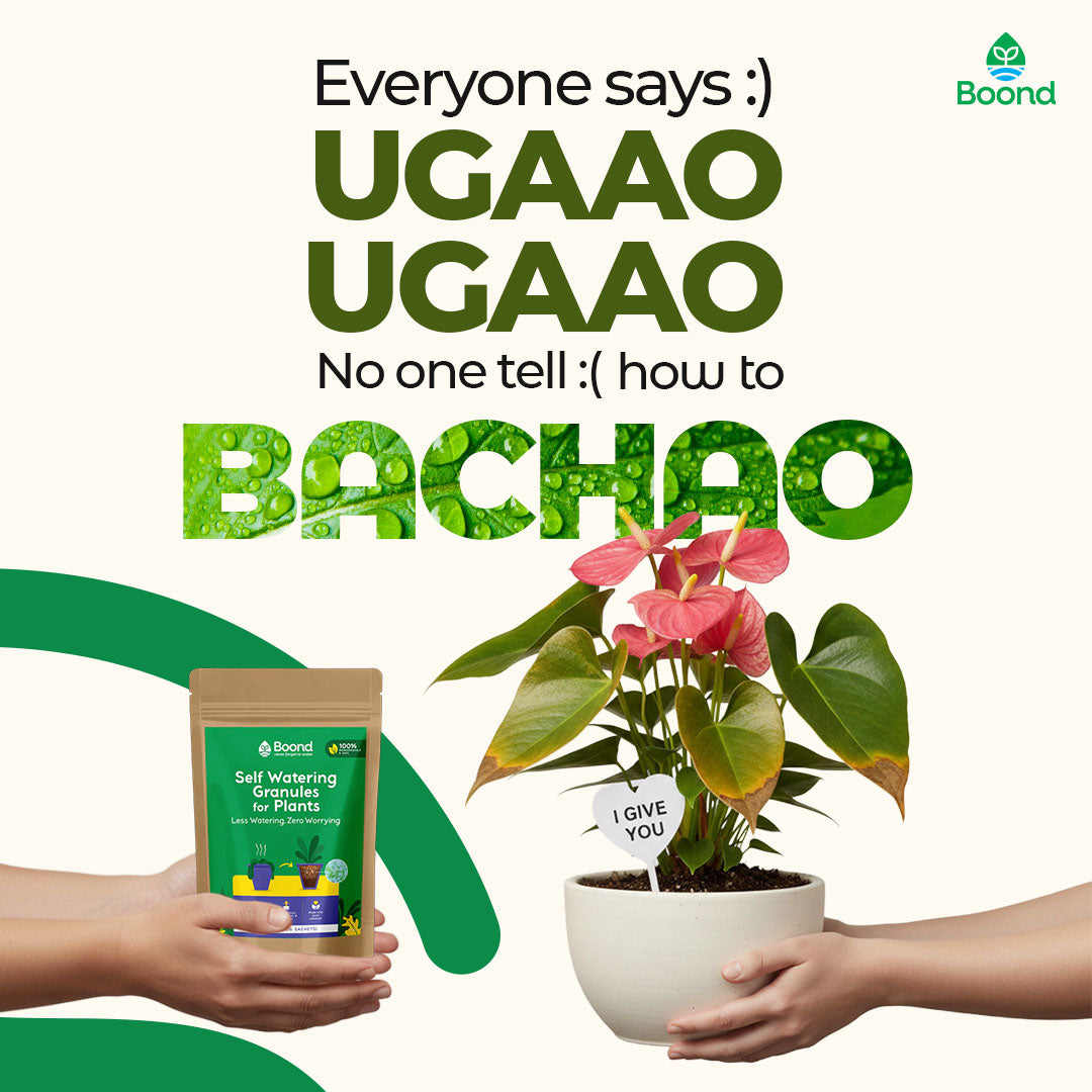 Boond Smart Watering Granules | NPK 10 - 10 - 10